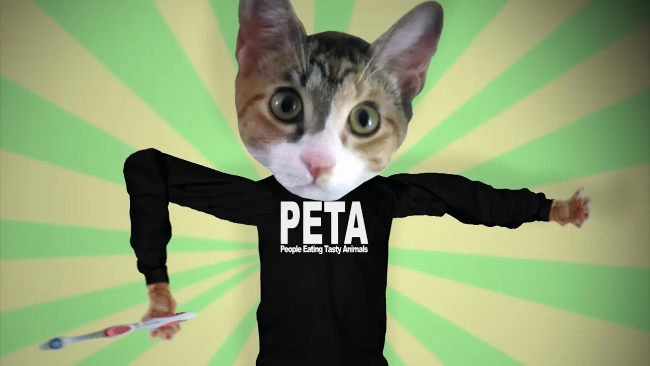 Why I Hate PETA