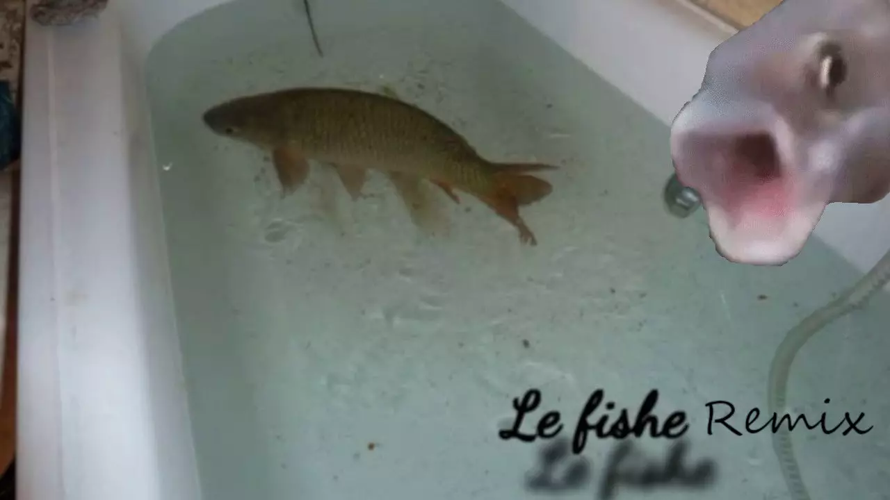 Le Fishe Remix